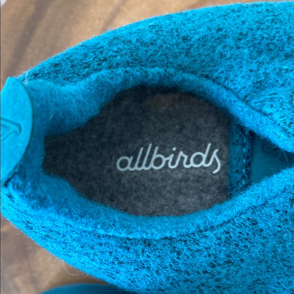 Allbirds Teal Blue Sneakers Minimalist Design - Picture 6 of 7